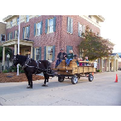 Wagon Rides