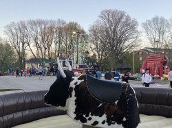 bull202 1635877913 Mechanical Bull w/ attendant